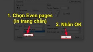 Chọn Even pages