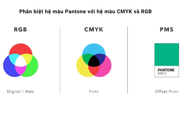 Pantone là gì
