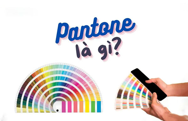 Pantone là gì