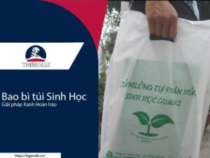Xu hướng xanh