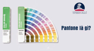 Pantone là gì
