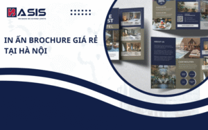 Brochure Basis Việt Nam